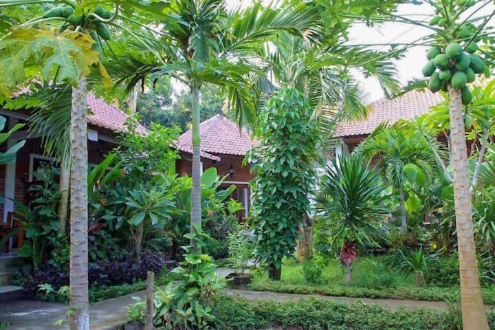 Enak Bungalow Amed Exterior foto